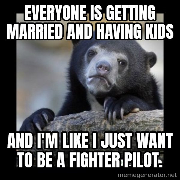 sad bear meme: Everyone is getting married and having kids / and i'm like i just want to be a fighter pilot.