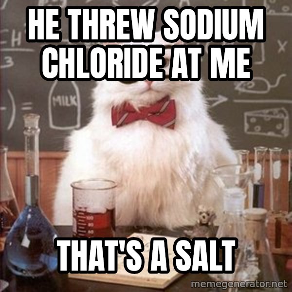 Chemistry Cat meme: he threw sodium chloride at me / that's a salt