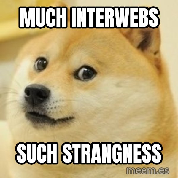 wow such doge1 meme: Much interwebs / such strangness