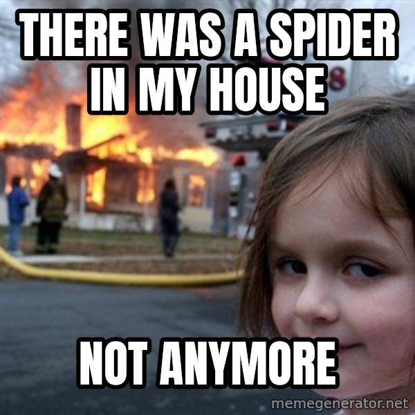 Disaster Girl meme: there was a spider in my house / not anymore