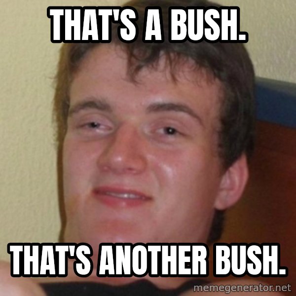 Stoner Guy meme: That's a bush. / That's another bush.