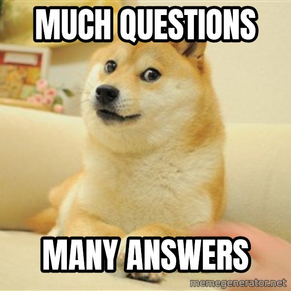 so doge meme: much questions / many answers