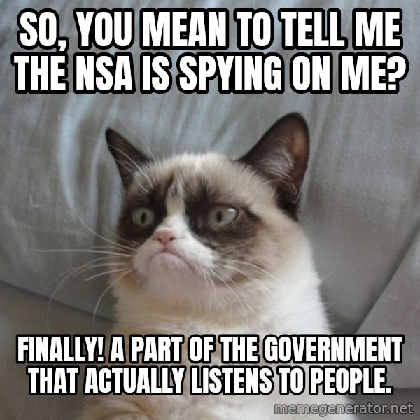 Grumpy cat good meme: So, you mean to tell me the NSA is spying on me? / Finally! A part of the government that actually listens to people.