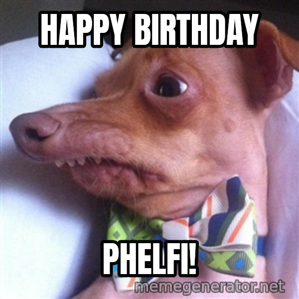 Tuna, the "Phteven" dog meme: Happy birthday / phelfi!