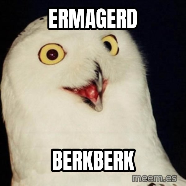 Orly Owl meme: ERMAGERD / BERKBERK