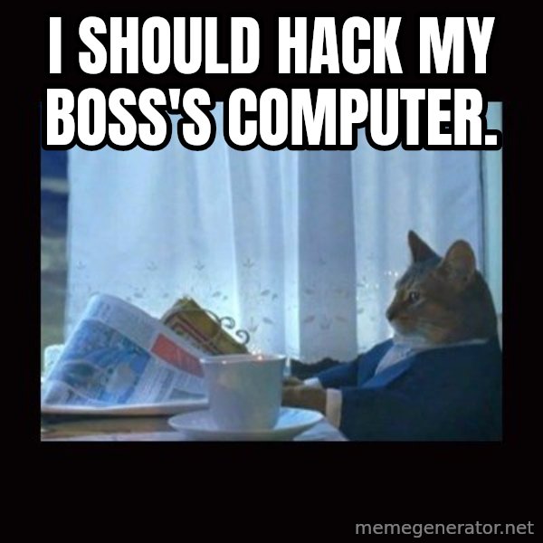 i should buy a boat cat meme: i should hack my boss's computer.