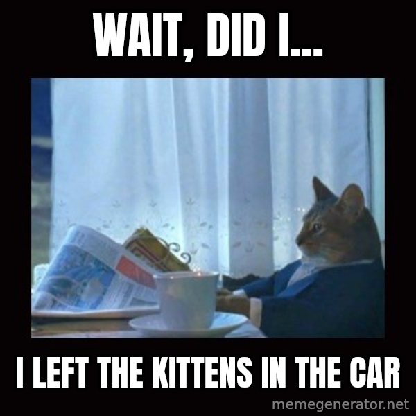i should buy a boat cat meme: wait, Did I... / I left the kittens in the car
