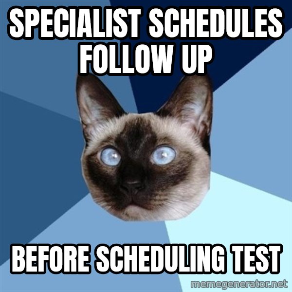 Chronic Illness Cat meme: Specialist schedules follow up / before scheduling test
