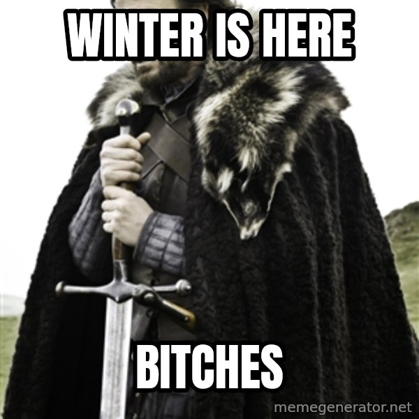 Ned Stark meme: Winter is here / Bitches