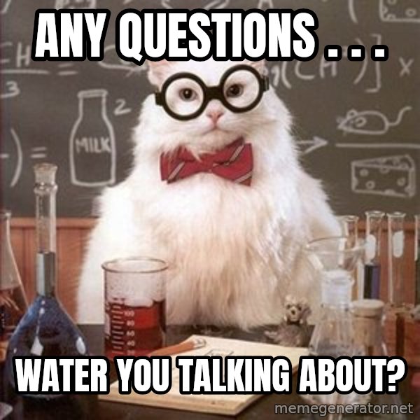 Chemistry Cat meme: Any Questions . . . / Water you talking about?