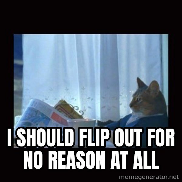 i should buy a boat cat meme: I should flip out for no reason at all
