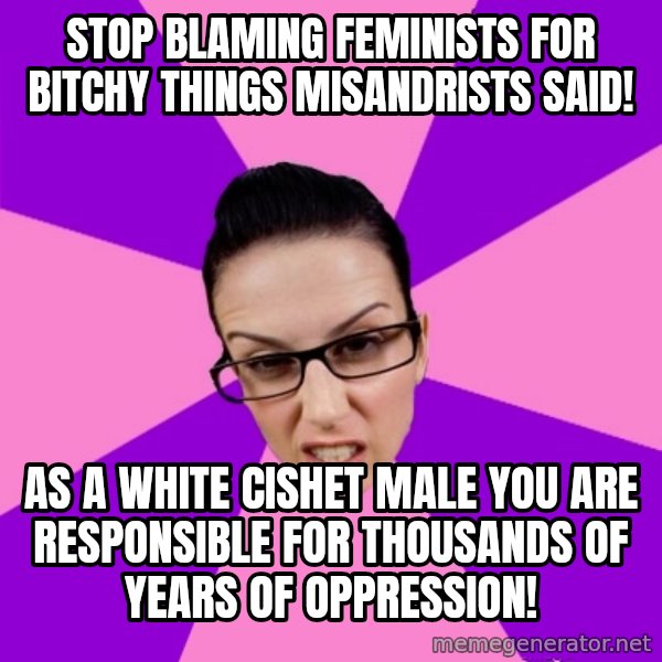 Privilege Denying Feminist meme: stop blaming feminists for bitchy things misandrists said! / as a white cishet male you are responsible for thousands of years of oppression!