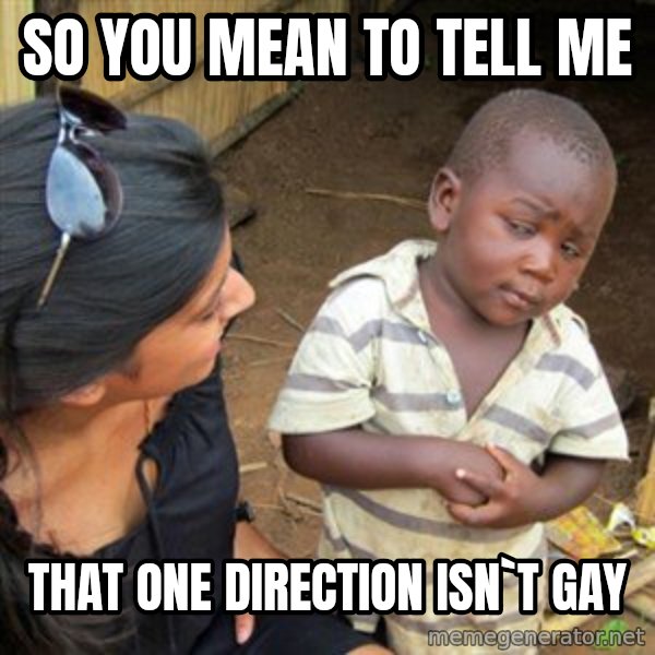 Skeptical 3rd World Kid meme: sO YOU MEAN TO TELL ME / THAT ONE DIRECTION ISN`T GAY