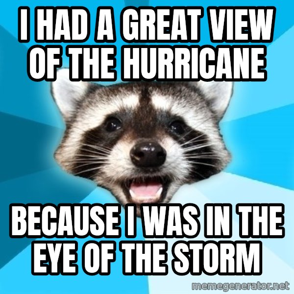 Lame Pun Coon meme: i had a great view of the hurricane / because i was in the eye of the storm
