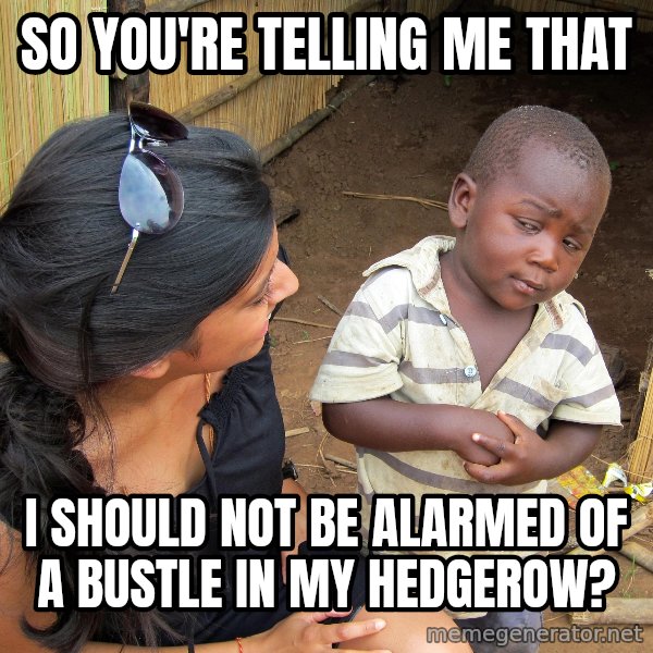 Skeptical African Child meme: SO you're telling me that / I should not be alarmed of a bustle in my hedgerow?
