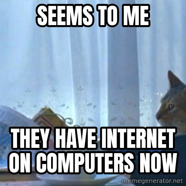 newspaper cat realization meme: seems to me / they have internet on computers now