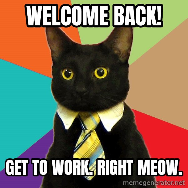 Business Cat meme: welcome back! / get to work. right meow.