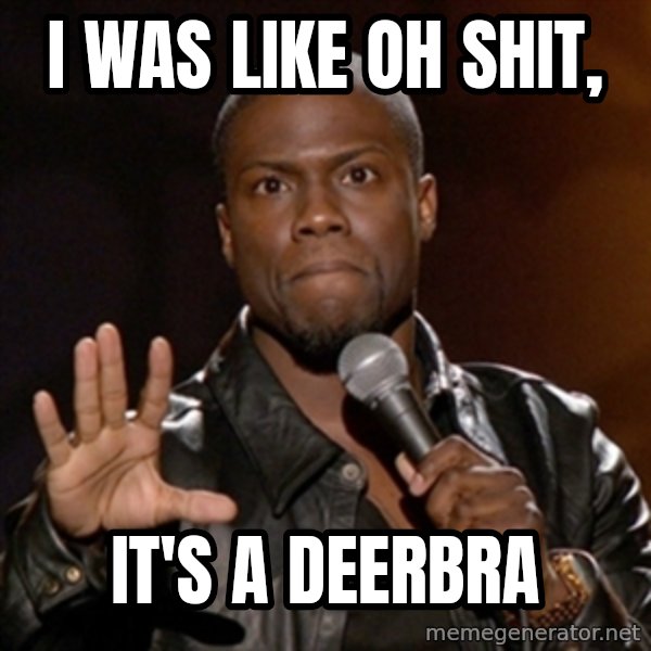 Kevin Hart meme: I was like oh shit, / it's a deerbra