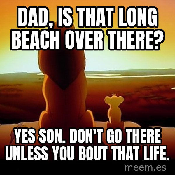 simba mufasa meme: DAD, IS THAT LONG BEACH OVER THERE? / YES SON. DON'T GO THERE UNLESS YOU BOUT THAT LIFE.