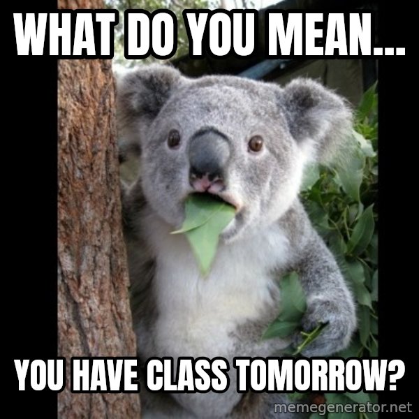Koala can't believe it meme: What do you mean... / You have class tomorrow?