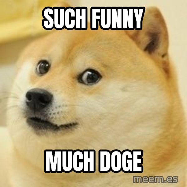 Real Doge meme: SUCH FUNNY / MUCH DOGE