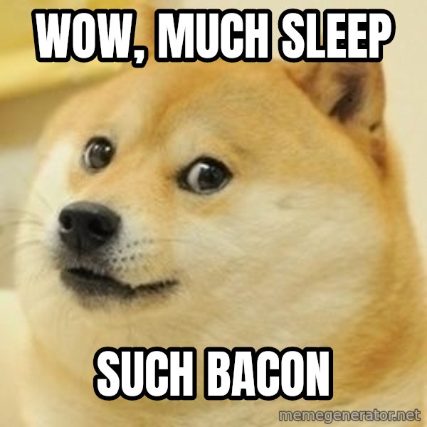 wow such doge1 meme: wow, much sleep / such bacon