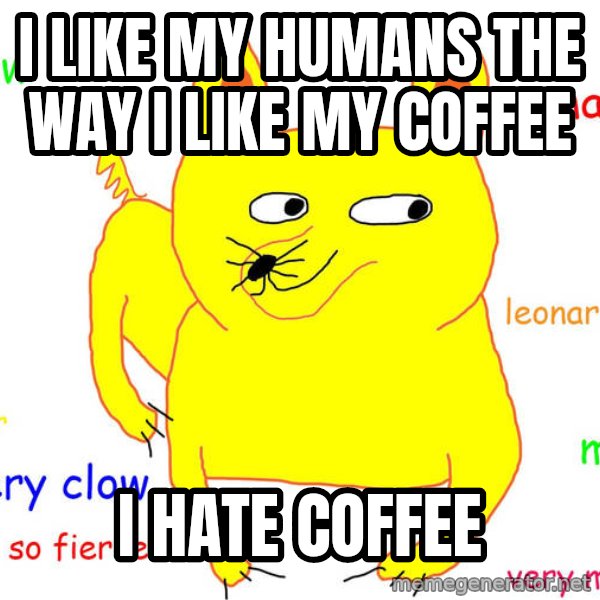 Grumpy Cat  meme: i like my humans the way i like my coffee / i hate coffee