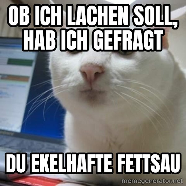 Serious Cat meme: Ob ich lachen soll, hab ich gefragt / du ekelhafte fettsau
