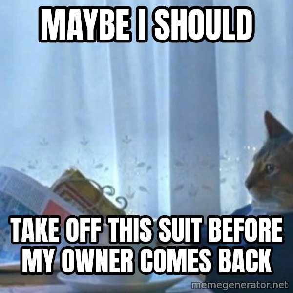 newspaper cat realization meme: Maybe i should / take off this suit before my owner comes back