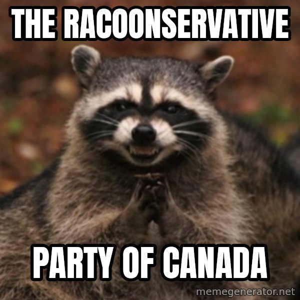 evil raccoon meme: the racoonservative / party of canada