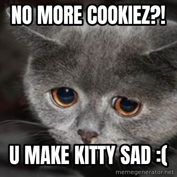 Sadcat meme: no more cookiez?! / u make kitty sad :(