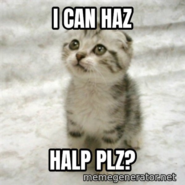 Can haz cat meme: i can haz / halp plz?