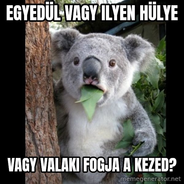 Koala can't believe it meme: egyedül vagy ilyen hülye / vagy valaki fogja a kezed?