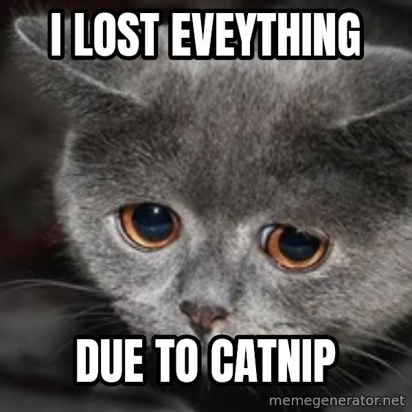 Sadcat meme: i lost eveything / due to catnip