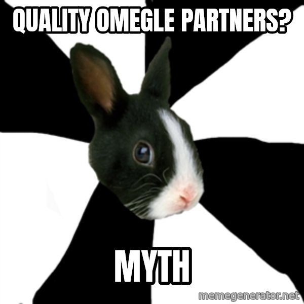 Roleplaying Rabbit meme: quality omegle partners? / myth