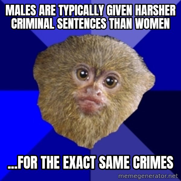 Mra Marmoset meme: males are typically given harsher criminal sentences than women / ...for the exact same crimes