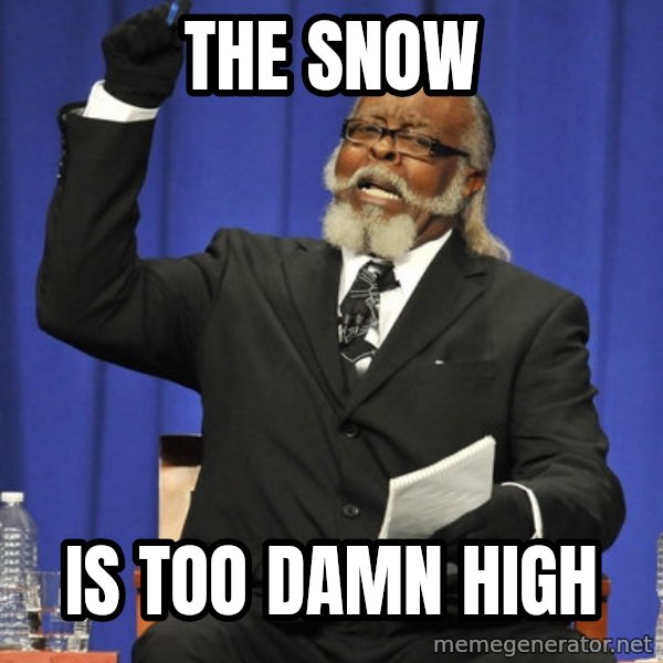 Rent Is Too Damn High meme: THE SNOW / IS TOO DAMN HIGH