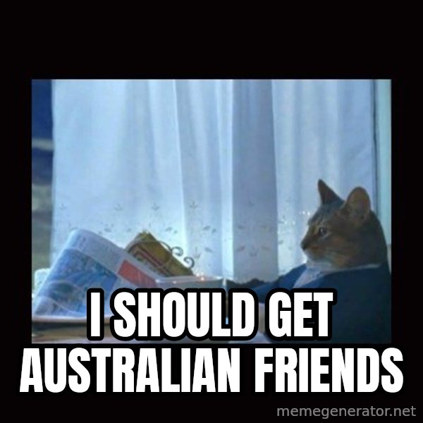 i should buy a boat cat meme: I should get australian friends