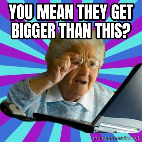 old lady meme: YOU MEAN THEY GET BIGGER THAN THIS?