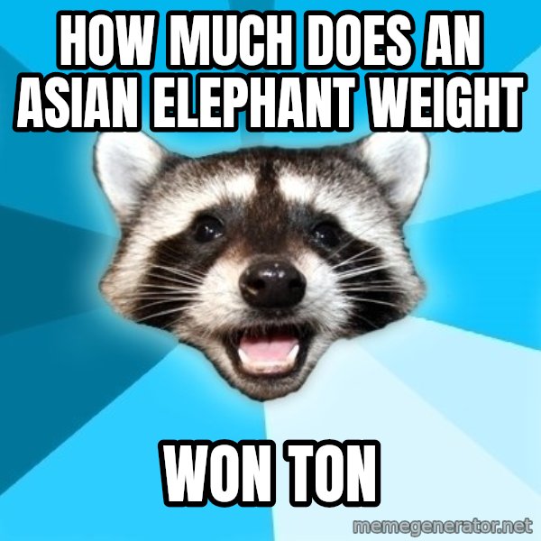 Lame Pun Coon meme: How much does an asian elephant weight / Won Ton
