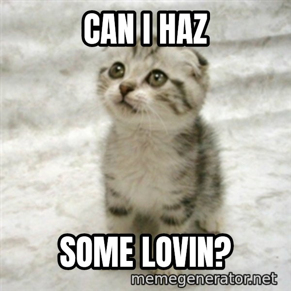 Can haz cat meme: can i haz / some lovin?