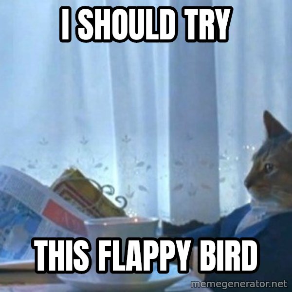 newspaper cat realization meme: i should try / this flappy bird