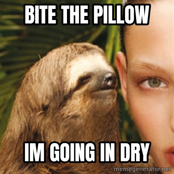 The Rape Sloth meme: Bite the pillow / im going in dry