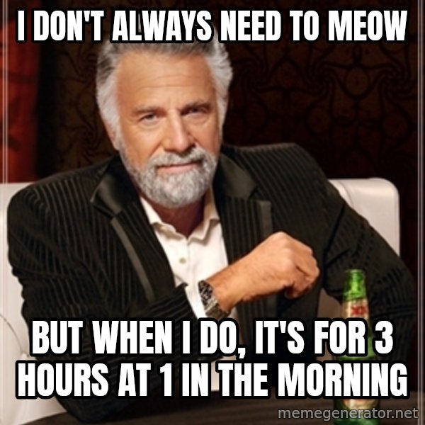 Dos Equis Guy gives advice meme: I don't always need to meow / But when I do, it's for 3 hours at 1 in the morning