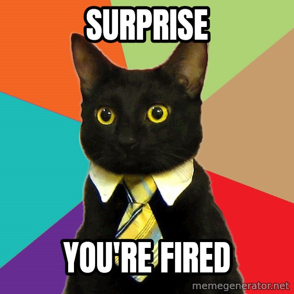 Business Cat meme: surprise / You're fired