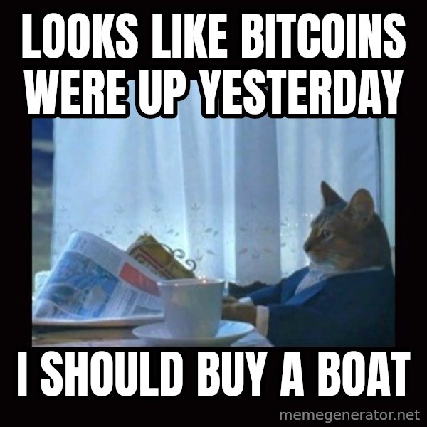 i should buy a boat cat meme: Looks like bitcoins were up yesterday / I should buy a boat