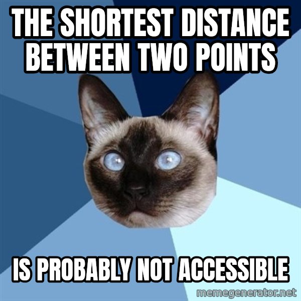 Chronic Illness Cat meme: The shortest distance between two points / is probably not accessible