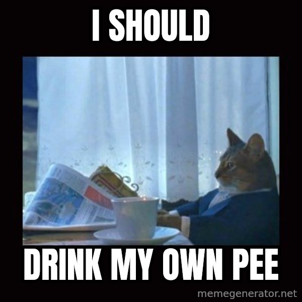 i should buy a boat cat meme: i should / drink my own pee