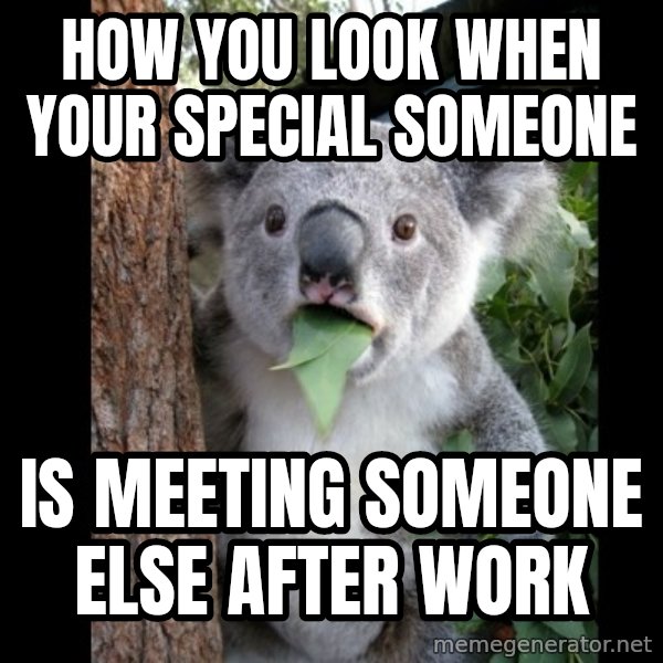 Koala can't believe it meme: How you look when youR SPECIAL SOMEONE / IS MEETING SOMEONE ELSE AFTER WORK