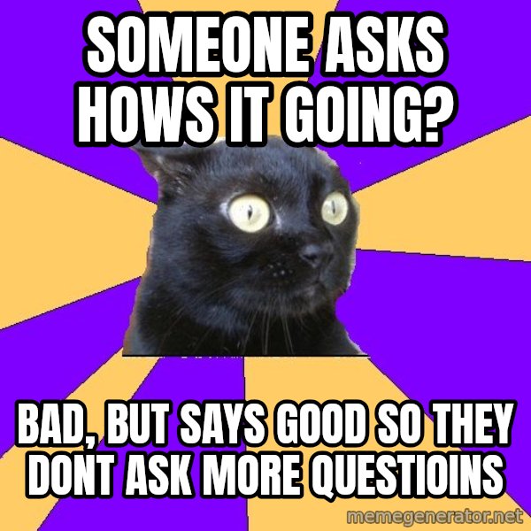 Anxiety Cat meme: Someone asks hows it going? / Bad, but Says good so they dont ask more questioins